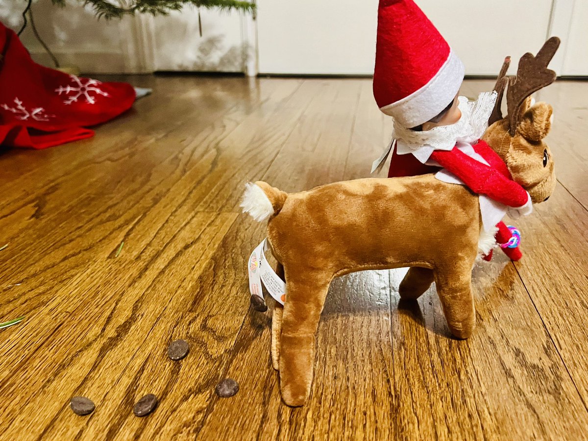 KariAnnGonzale1's tweet photo. You claim you need elf pets to be merry
Yet our quantity of Christmas is scary
But, my sweet ones the joke’s on you
You’ll clean all the reindeer poo
From your dear new pet, Jingle Berry!
#limerick #LimerickSunday #poetry #elfmischief #elfmagic #JustChocolateChips https://t.co/7W6EsrCidT