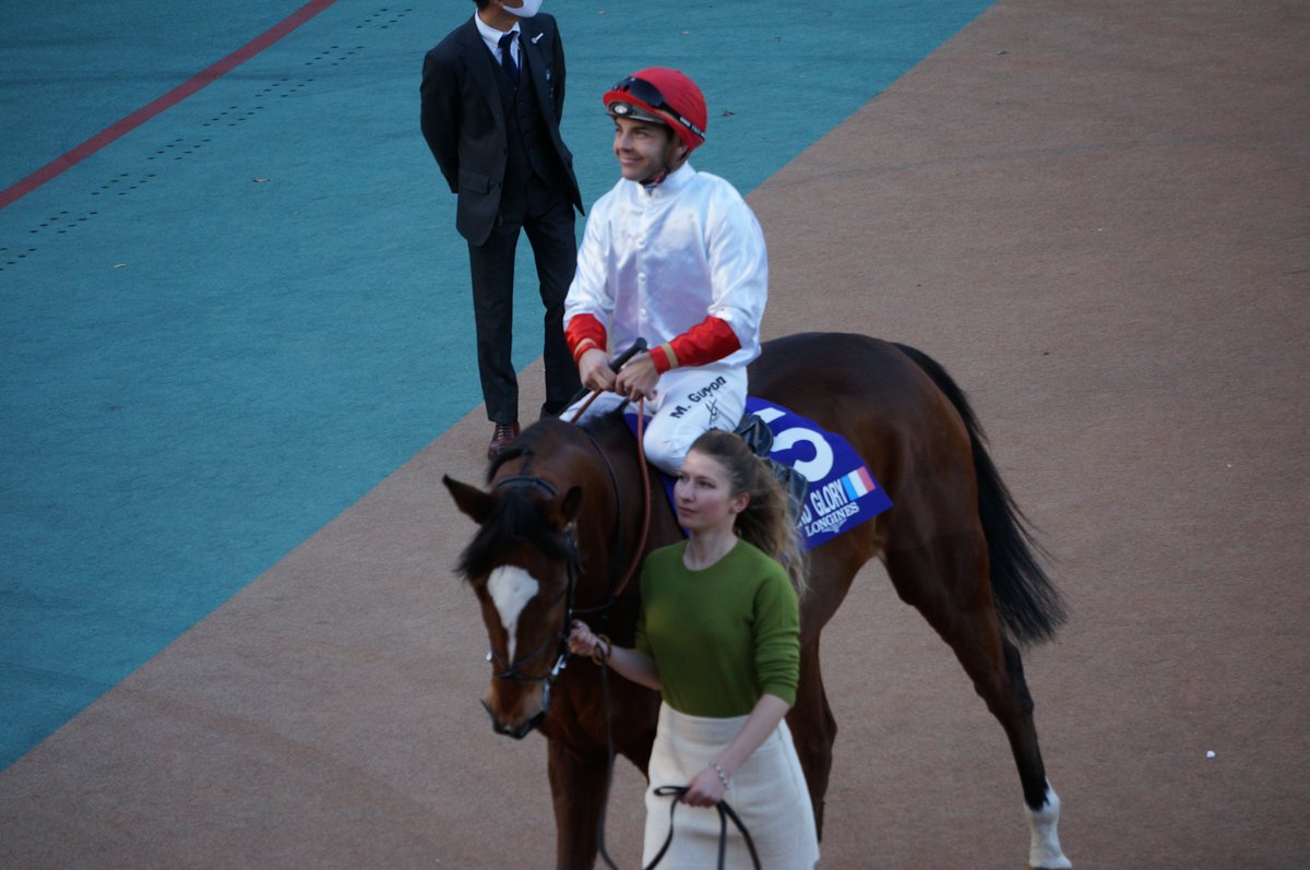 qftech's tweet photo. #JapanCup のパドック、外国馬は #GrandGlory, #ONESTO, #Tunnes, #SimcaMille でしたね。長旅、お疲れさまでした。気を付けてお帰りください! https://t.co/crVg6j60mq