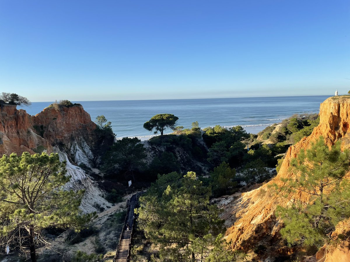 VickyGoodall7's tweet photo. It was a pleasure to host a group of journalists to promote the real estate at the fabulous @PineCliffs and the lifestyle that can be enjoyed in the Algarve #portugal #algarve #realestateinvesting https://t.co/n7ASbUvVfi