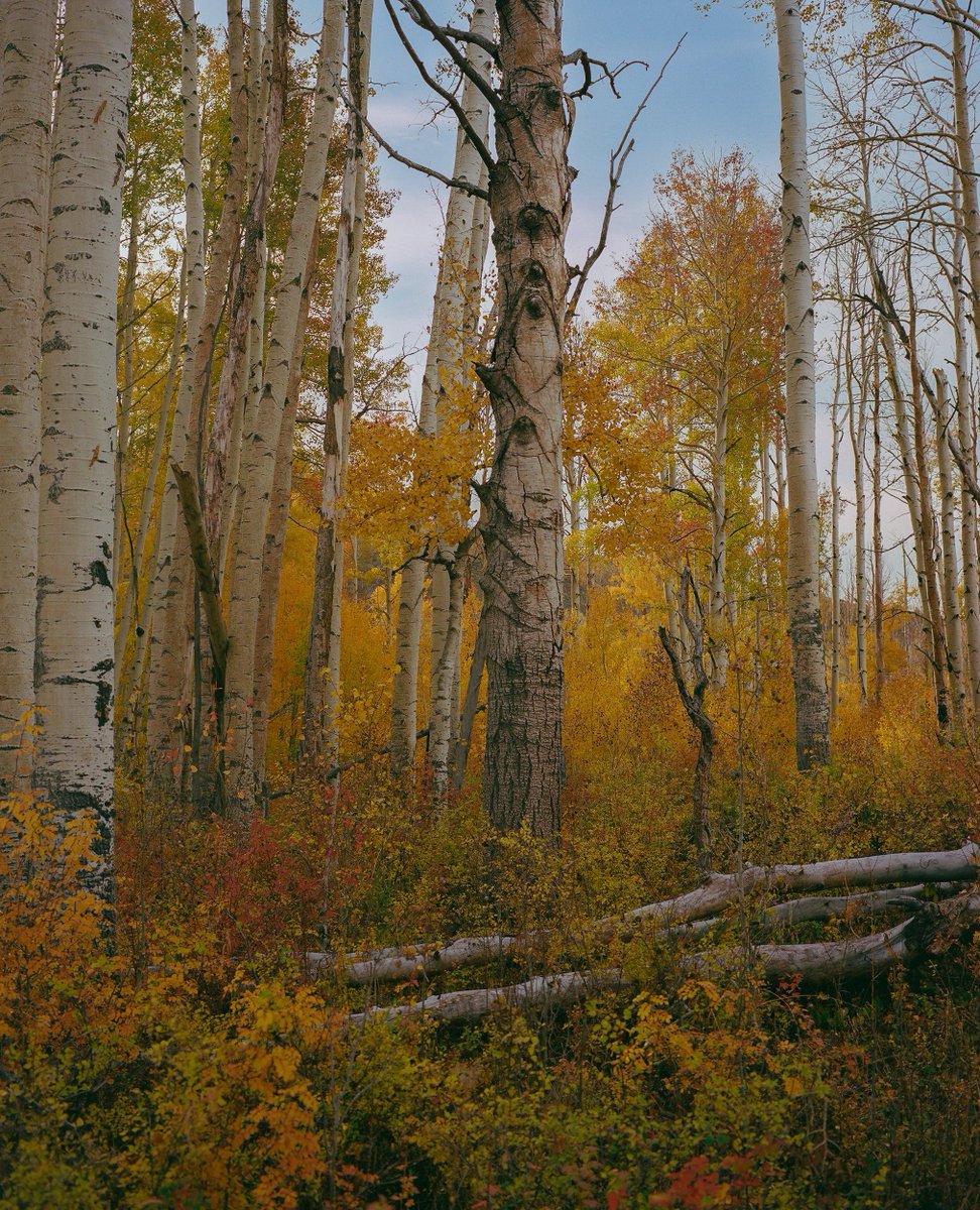 Alex Kittoe tweet media