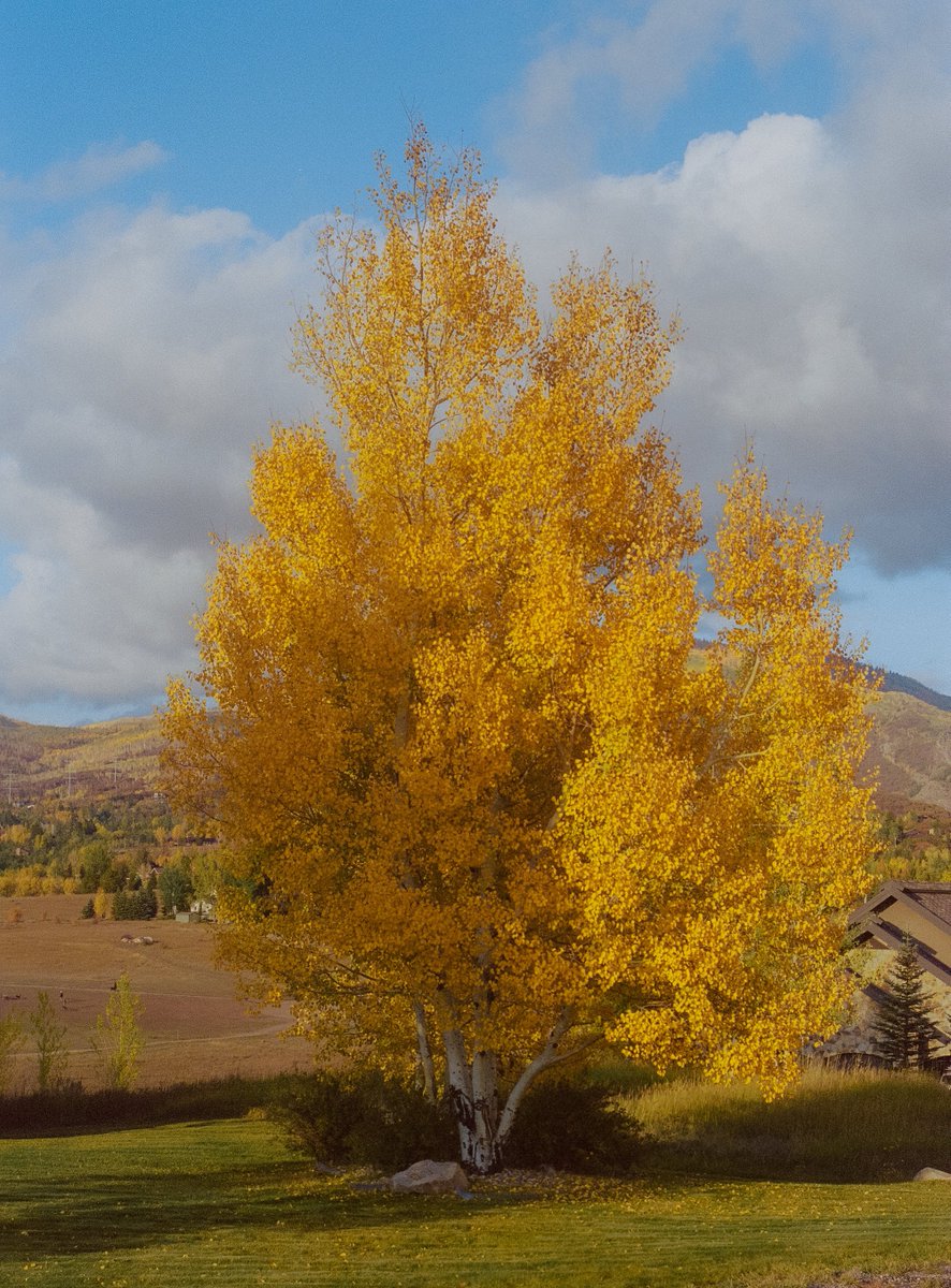 Alex Kittoe tweet media