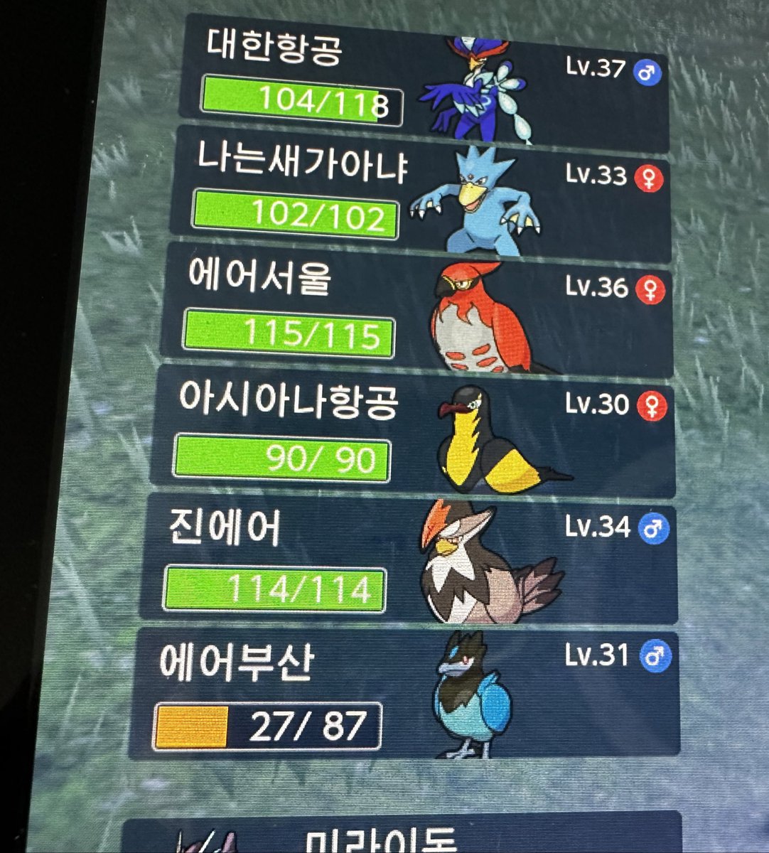ljyeaster2's tweet photo. 제 포켓몬팟인데 아는분이 이름 이상하다함 https://t.co/bWaDLcSS0f