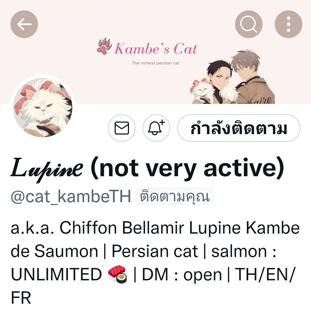 botnoe_th's tweet photo. “ แมว! ทำให้นึกถึงนัวร์เลย🐱” https://t.co/fwvCUZhI7v