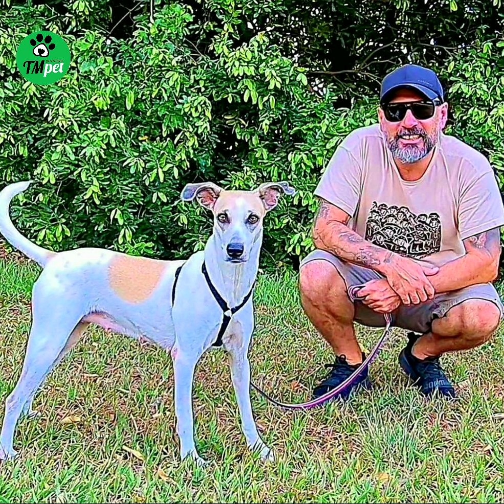 tmtransportepet's tweet photo. Transporte terrestre interestadual de pets ⁣
Não fazemos FRETE, Transportamos VIDAS. ⁣
⁣
Tranporte pela @tmtransportepet de Cuiabá/MT x Joinville/SC
⁣
📲WhatsApp (51) 99310-2259 ⁣
📧contato@tmtransportepet.com.br ⁣
🌐https://t.co/a27nNsoqSX⁣
⁣
#tmtransportepet⁣ https://t.co/7g2C1Olsor