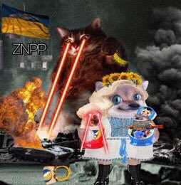 ukrainewillwin7's tweet photo. Never FEAR #NAFO is HERE!
#ZNPP
ByeBye Orcs Disappear!
#UkraineWillWin
#RussiaIsATerroristState
#StopRussiaNow
#FreeTheLeopards
#ArmUkraineNow
#ArmUkraineFully
#ATACMS4Ukraine
#ABRAMS #Bradleys #MoreHIMARS #MoreNASAMS #Avengers #F16s
@ToDust_TNT @skykiss22 @FaithGrace7777 https://t.co/1XQKhsvkjU