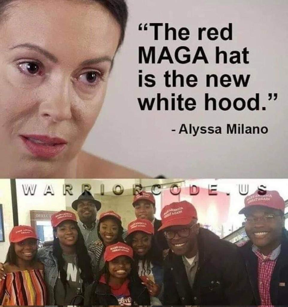 Chicago1Ray's tweet photo. Be a shame to to Retweet this post since it doesn't fit the narrative portrayed by @Alyssa_Milano https://t.co/MRBEml7mun
