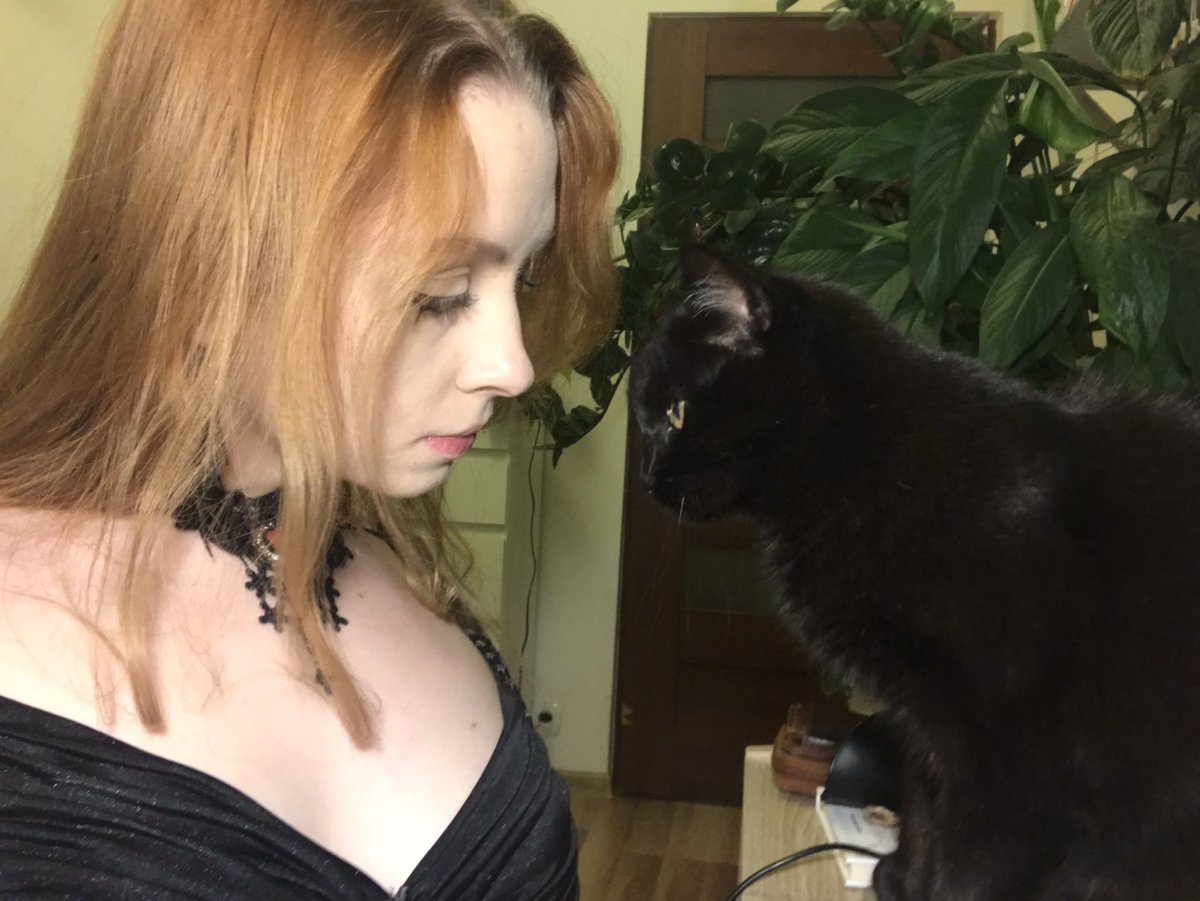 soothing_effect's tweet photo. 🕸🐈‍⬛ https://t.co/yJOvsqo6Pm