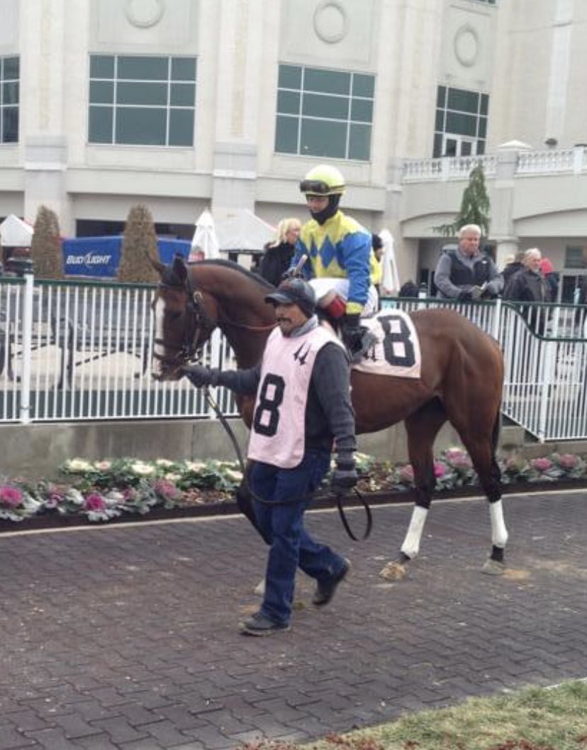 ukHolloway91's tweet image. 8 years since these colors passed under the  twin spires 🥺 #FiveOneThree #DavidPHollowayRacingInc