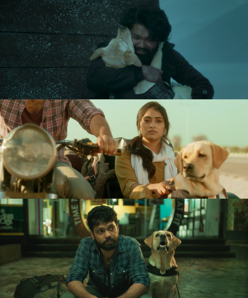 Not Kantara. Not KGF.
777 Charlie is my favourite Kannada film of 2022.