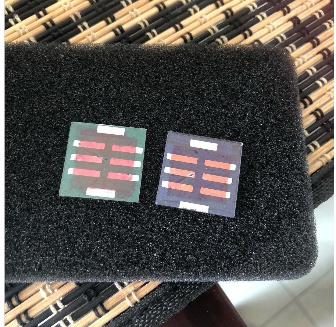 Isella Creyeau🐇 tweet media