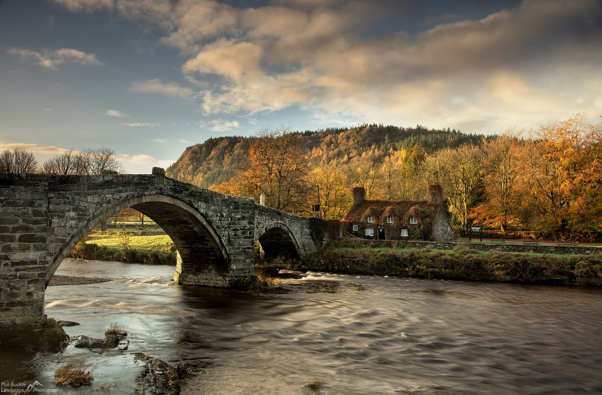 Phil Buckle tweet media