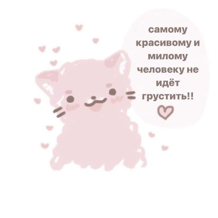 Sova_223's tweet photo. @podsoskapozova https://t.co/AaXrPLXTS5