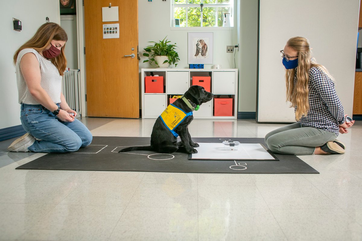 Duke University tweet media