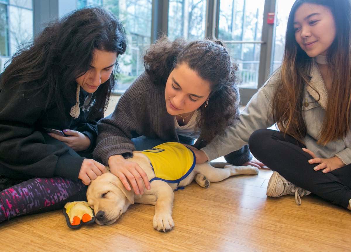 Duke University tweet media