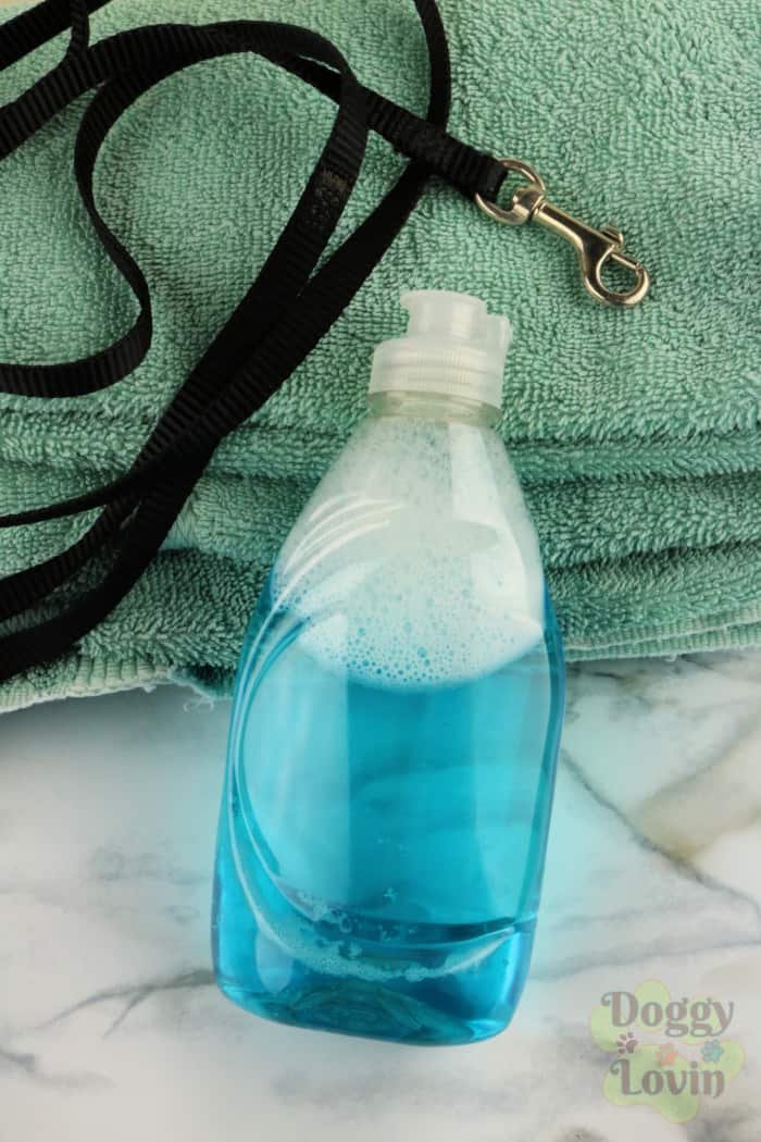 Homemade Dog Shampoo for Oily Coat (Also Good for Fleas) via