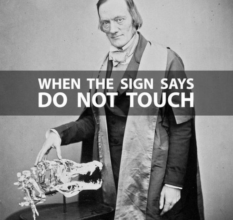 historyaliveKC's tweet photo. Today's #CountdowntoChristmas is a fun one! Share a gif, meme, or emoji that makes you think of Wornall/Majors and be entered into our drawing! We'll go first. h/t to @NHM_London https://t.co/OEp7opqG6I