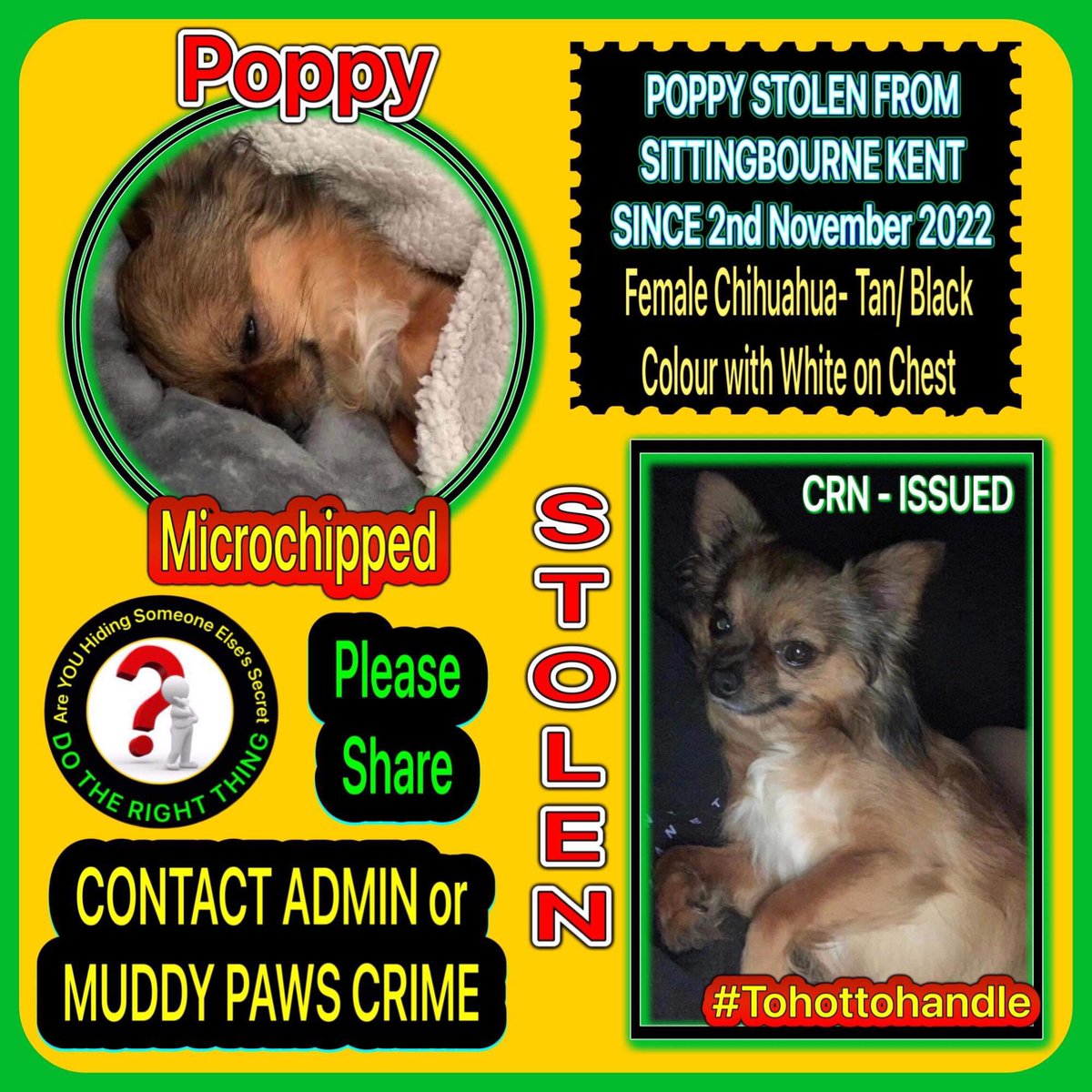 KarenFi51820768's tweet photo. Poppy still missing please keep sharing and #RT #Kent or anywhere in the #uk #FindPoppy https://t.co/68D85vCcKn