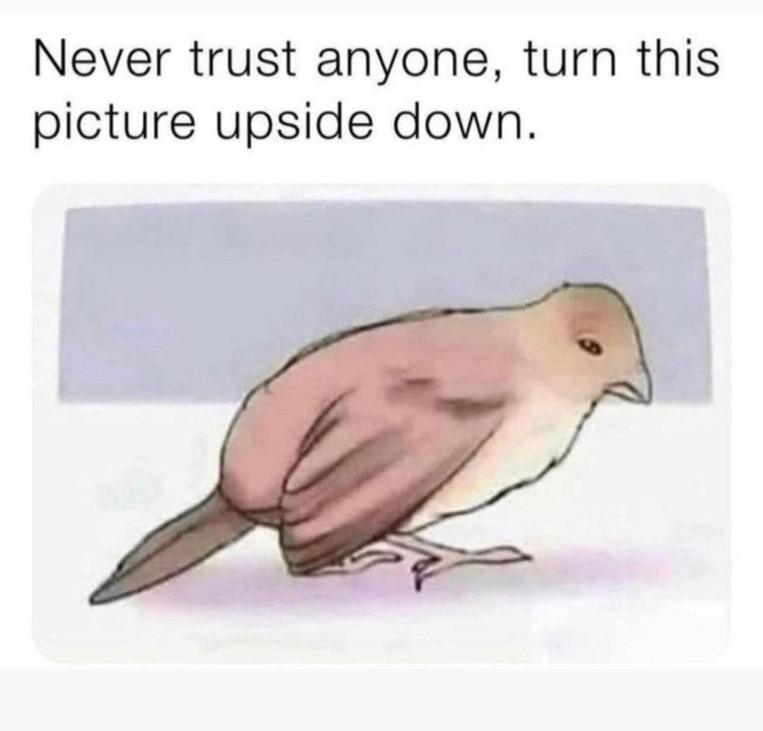 Naija_PR's tweet photo. Never trust anyone! https://t.co/Cpu8L4Z7bd