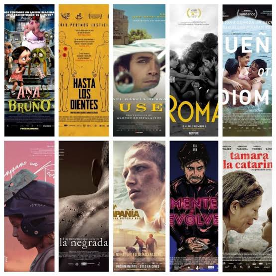 Amelia Rojas tweet media