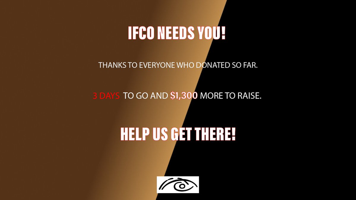 Indie Filmmaking tweet media