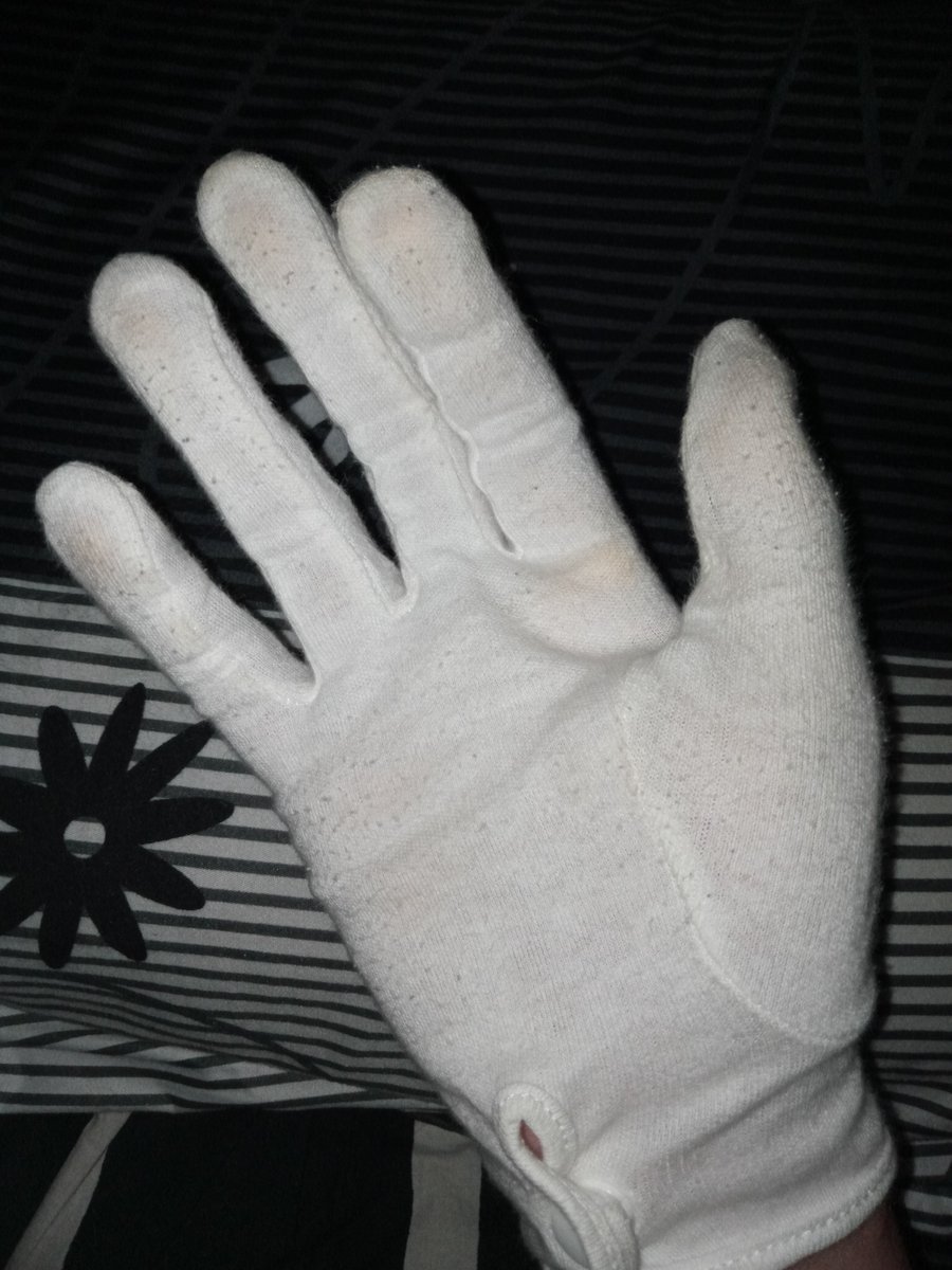 whitegloves0's tweet photo. https://t.co/iskuQ3ojlg