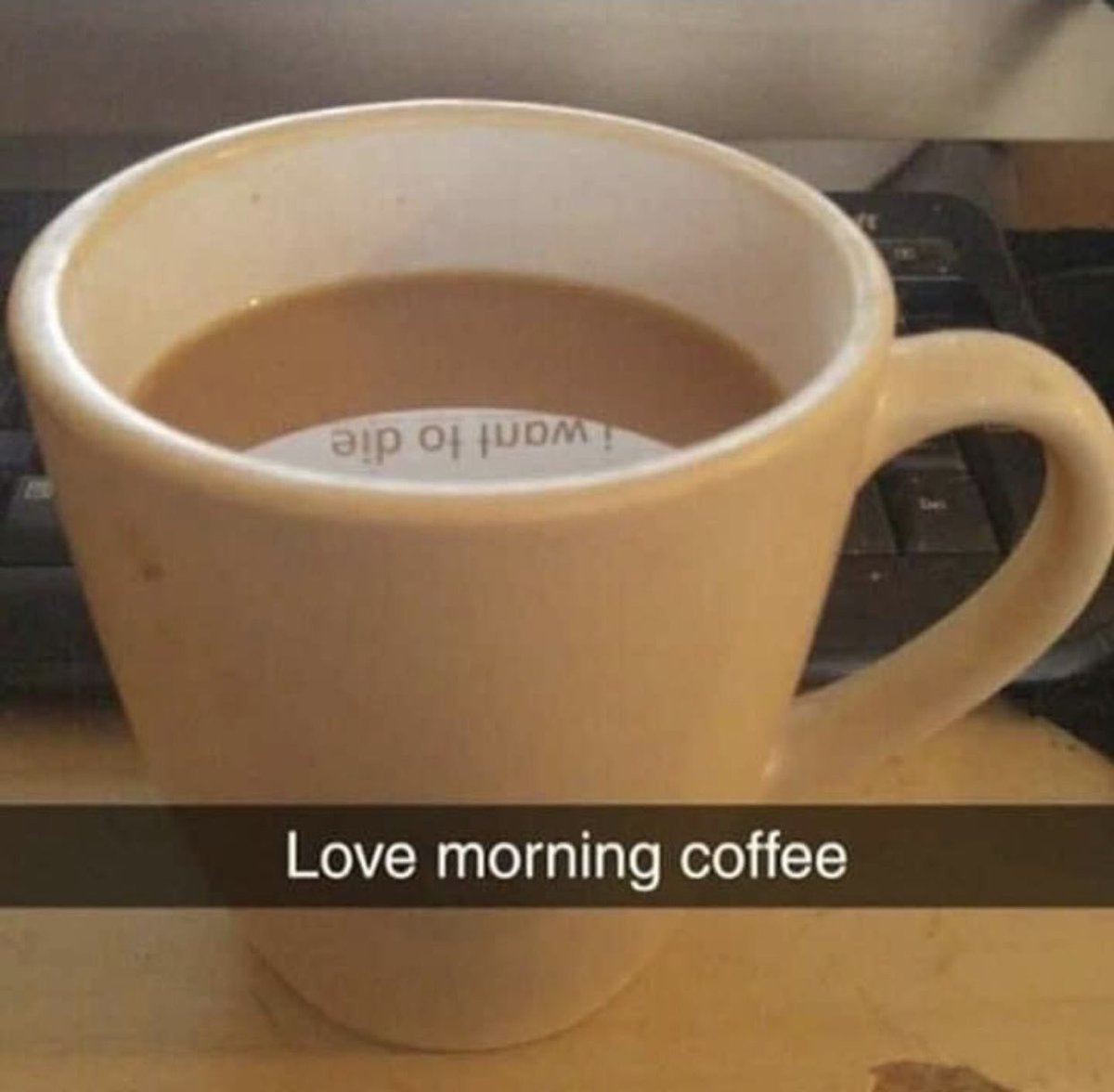 thatbxtchco's tweet photo. gm <3 https://t.co/nrhUtv9rtd