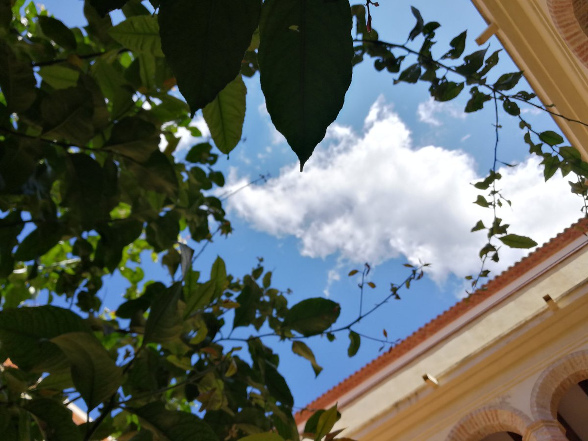 Lamentem la pèrdua de Leonardo Escoda. Volem expressar el nostre condol a familiars i amics.