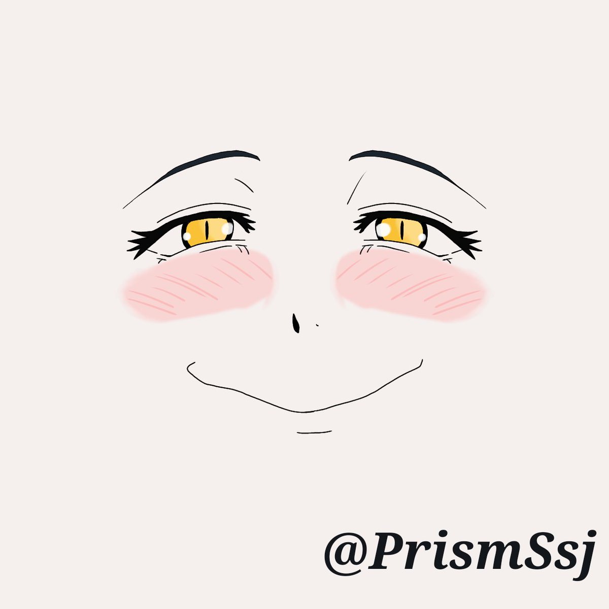 𝐒𝐒𝐉 𝐏𝐑𝐈𝐒𝐌 tweet media