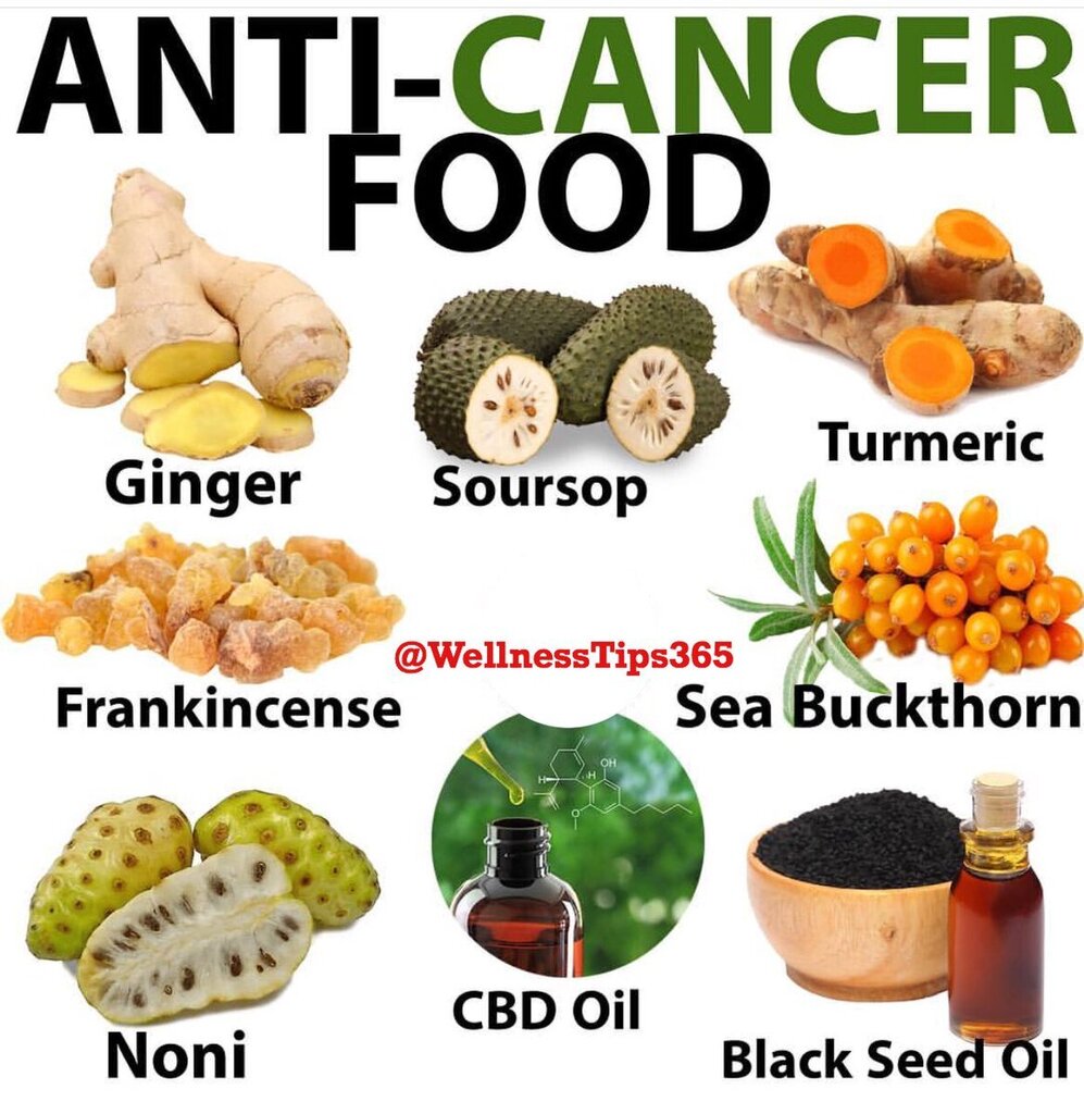 OrganicLiveFood's tweet photo. What if I told you there are multiple #cures for #cancer: https://t.co/Fp55A7t5a9 The #food you eat can be either the safest and most powerful form of #medicine or the slowest form of #poison https://t.co/rgBOiKtbUw