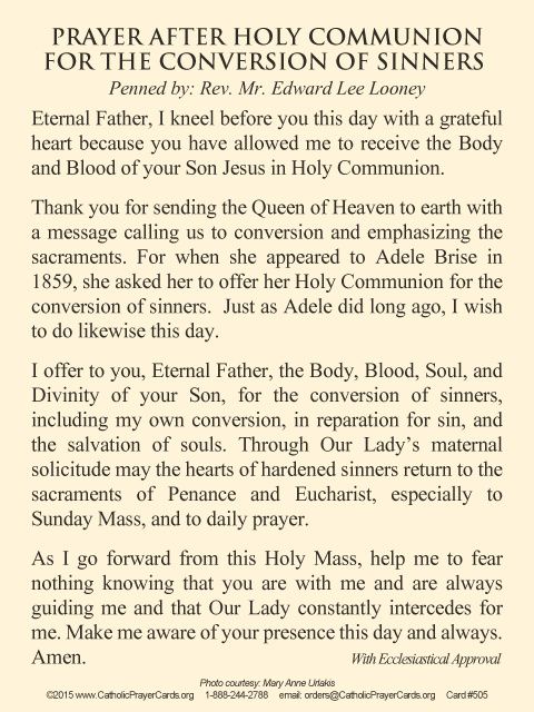 Lucario3Riolu's tweet photo. Pray For The Conversion Of Sinners To Saints Through The #HolyEucharist. Receive #HolyCommunion In A State Of Grace.
#CatholicSaints.#CatholicProLife
#CatholicChurch.#CatholicTwitter
#CatholicPrayers.#Catholism
#CatholicPriests.#CatholicFaith
#Catholic. https://t.co/nwVMiETHUK