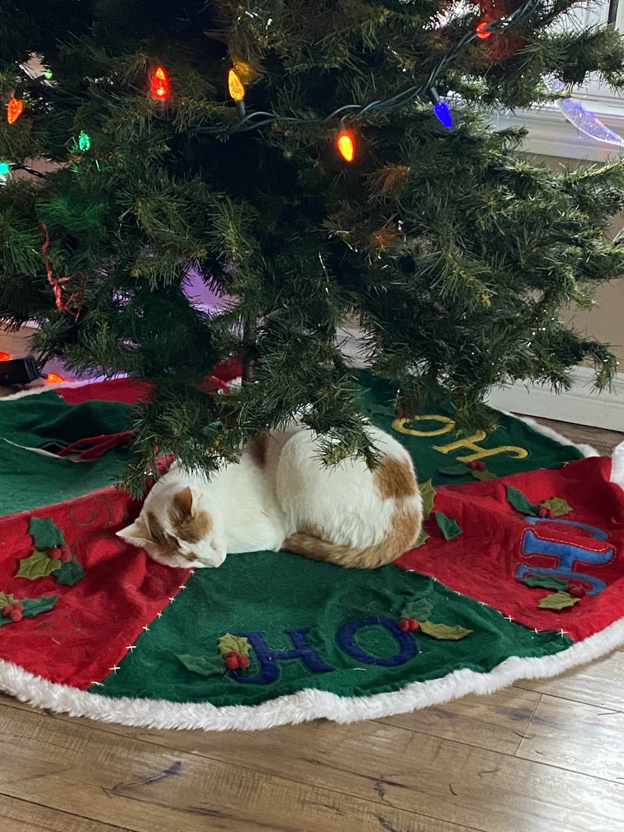 angeliquefawns's tweet photo. First gift. #christmas #writingcommunoty https://t.co/V2oQCa5ype