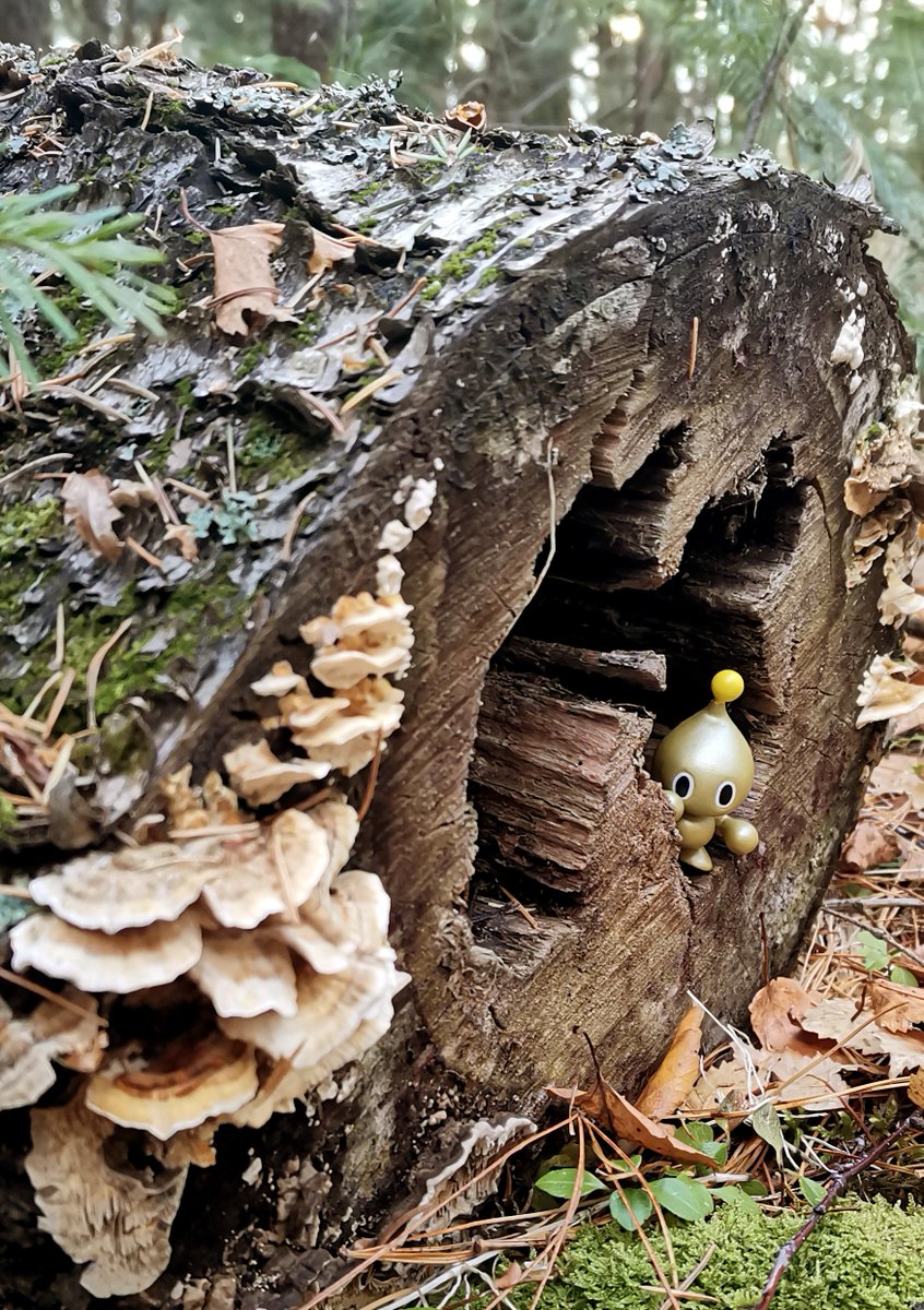 Sony ⚡️ tweet media