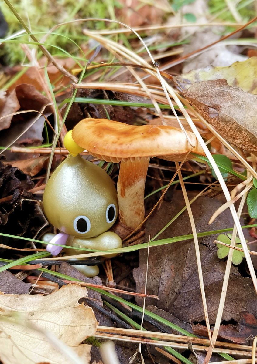 Sony ⚡️ tweet media