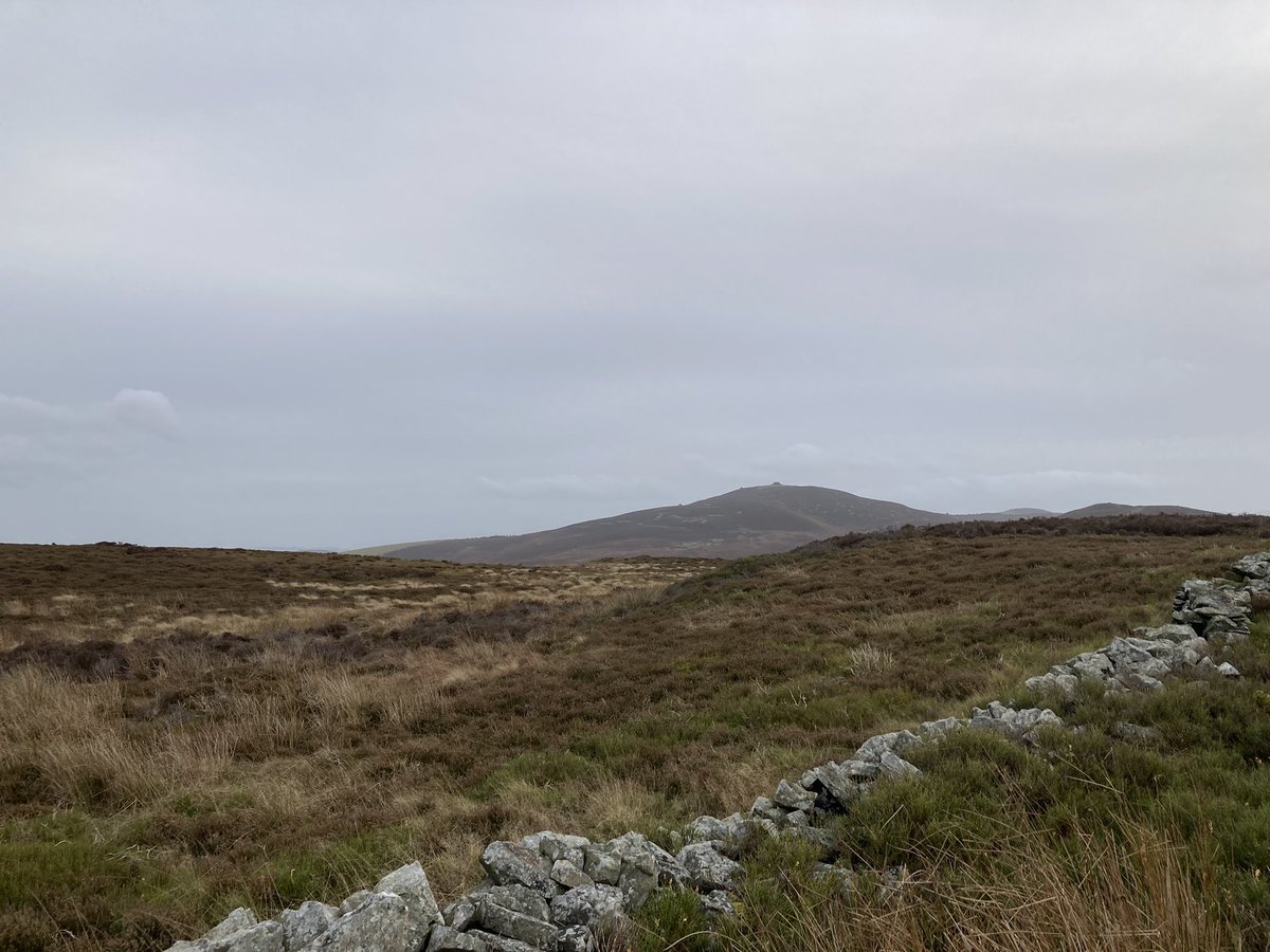 HilaryAPullen's tweet photo. Moel Llys Y Coed - super little walk with Ziggy - great views of Moel Arthur, an Iron Age hill fort - you can see the ramparts clearly - Also views of Moel Famau ‘Mother Mountain’ - we have always called it ‘Tit Hill’ I guess cause it does look like that 🤣
#aonb #clwydianrange https://t.co/U3qTI2791p