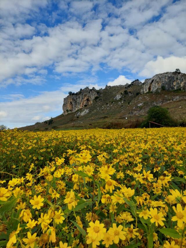 Nature..