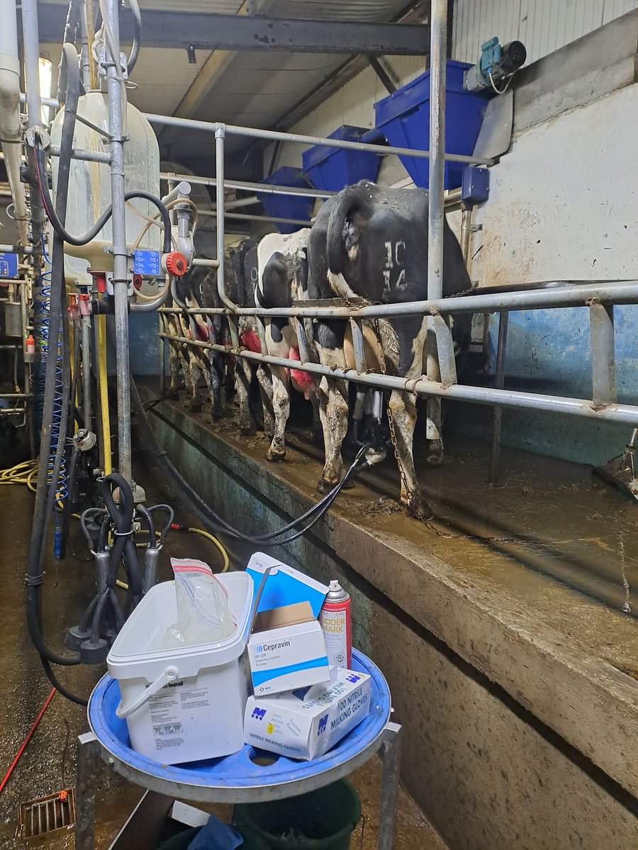 JimGarry5's tweet photo. Last cow milked for 2022. 
She will also be the last cow milked with this machine here. Taking the machine out tomorrow. 
This hybrid 6 unit recording  machine is for sale. See donedeal ad attached for details
Any queries dm me 😀

https://t.co/PMt7z5JFYr https://t.co/sK1O5WbuNN