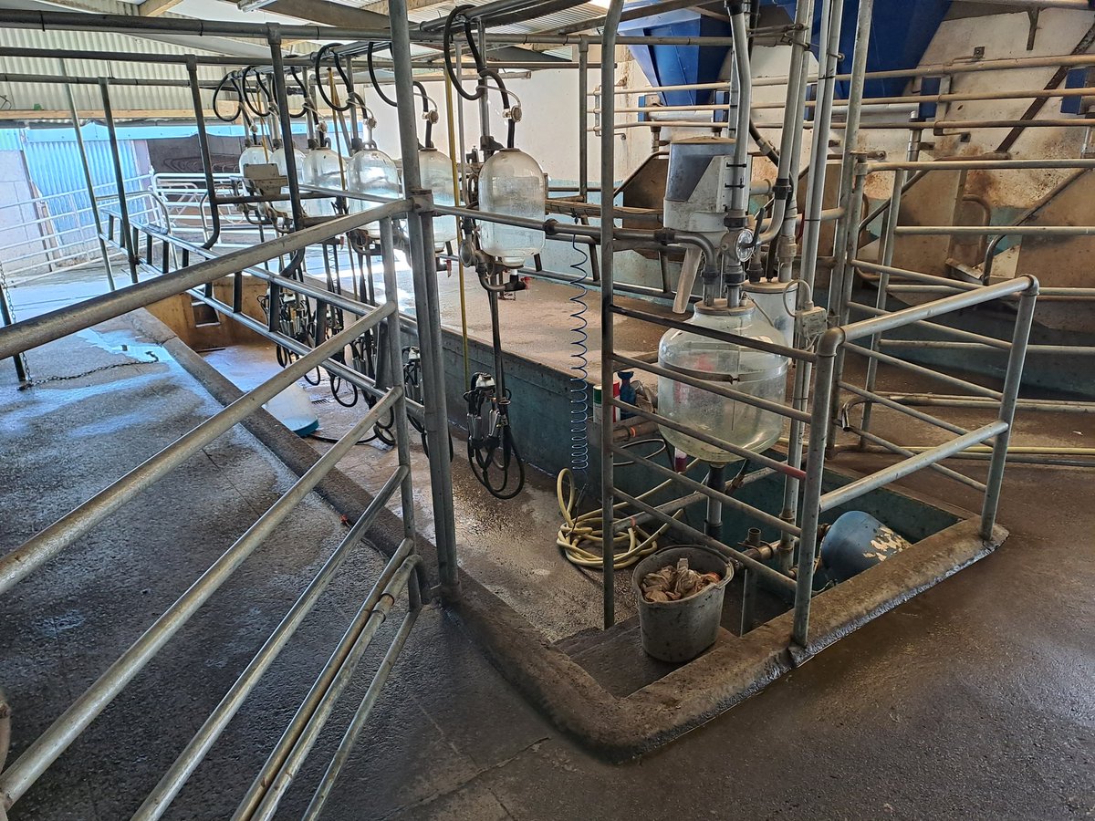 JimGarry5's tweet photo. Last cow milked for 2022. 
She will also be the last cow milked with this machine here. Taking the machine out tomorrow. 
This hybrid 6 unit recording  machine is for sale. See donedeal ad attached for details
Any queries dm me 😀

https://t.co/PMt7z5JFYr https://t.co/sK1O5WbuNN