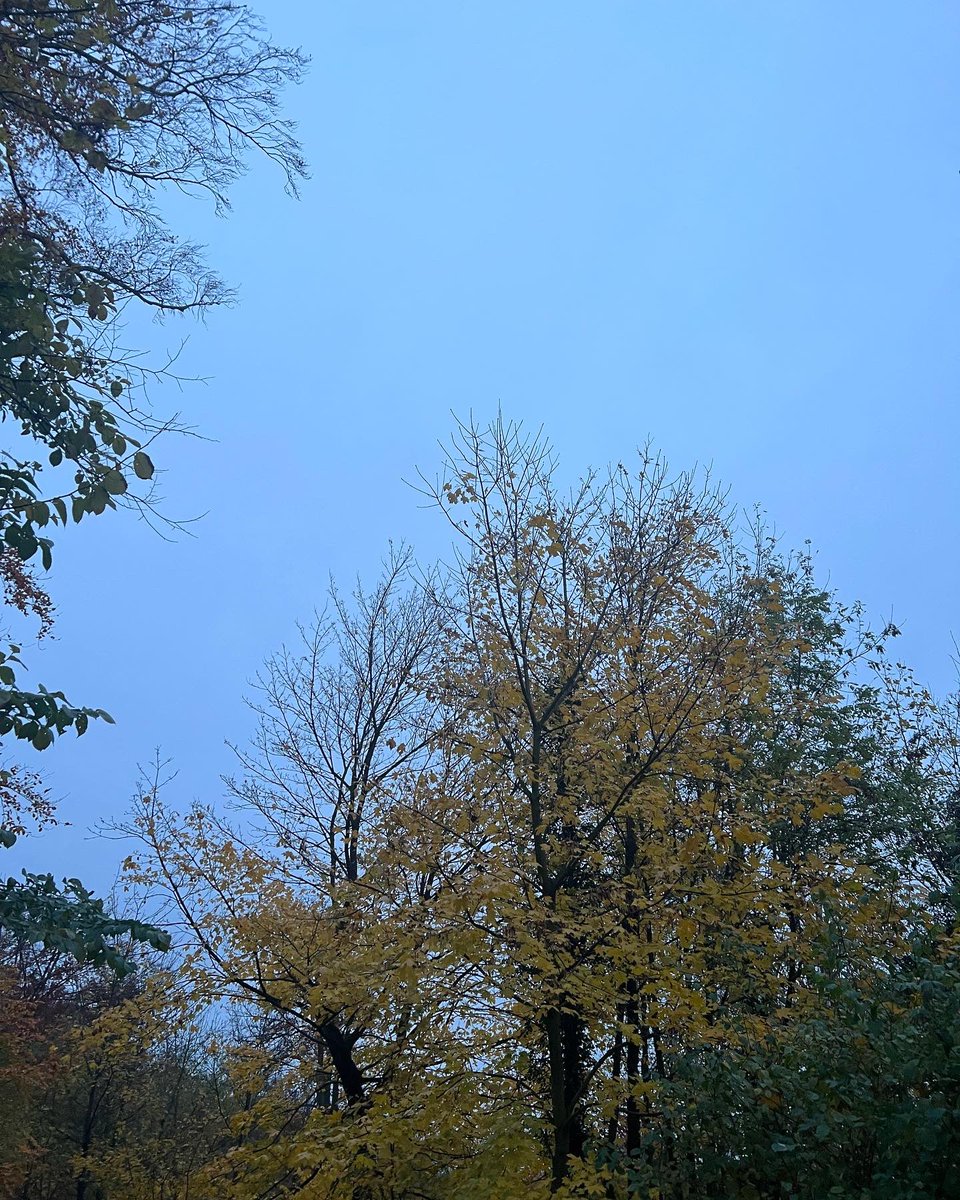 cdehw's tweet photo. #nofilter #instatree https://t.co/WbB9viTxrI