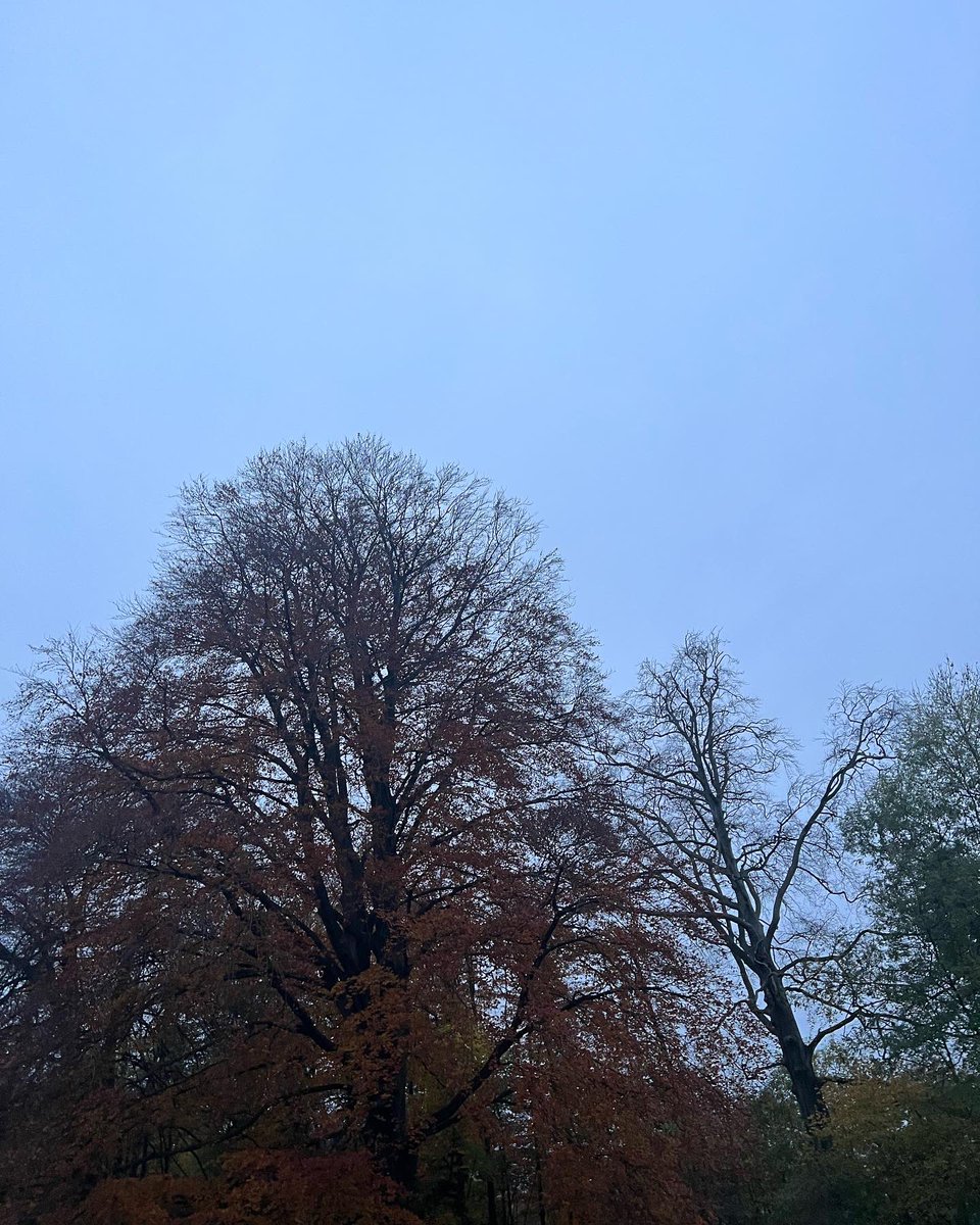 cdehw's tweet photo. #nofilter #instatree https://t.co/WbB9viTxrI