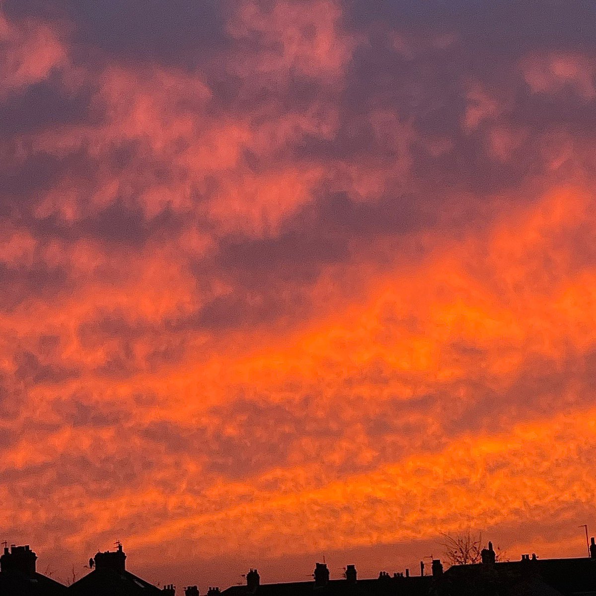 beardedbirders's tweet photo. What a sky @DiscoverNEL @Visit_Lincs @LincsNaturalist @BBCSpringwatch who needs fancy filters when you have this to look at 🤩🔥👌🏻 #TwitterNaturePhotography #sky #sunsetphotography #sunset #naturescolours #colours #nofilterneeded https://t.co/RHUZAlGAuk