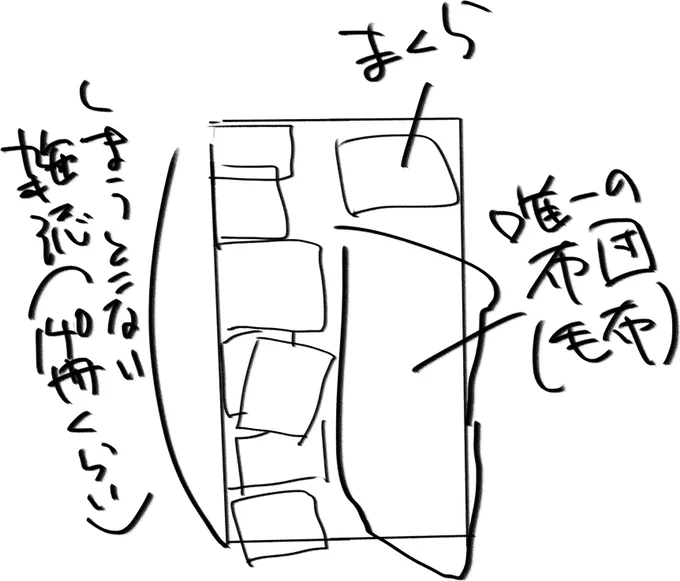 雑誌仕舞うところなくてベッドの半分が積んだ雑誌に占領されてて寝返り打てない(雑誌たまに崩れてくる) 