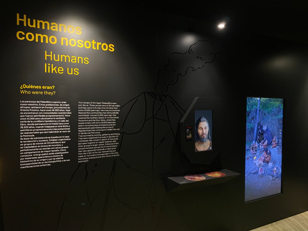 Museo Arqueológico Nacional tweet media