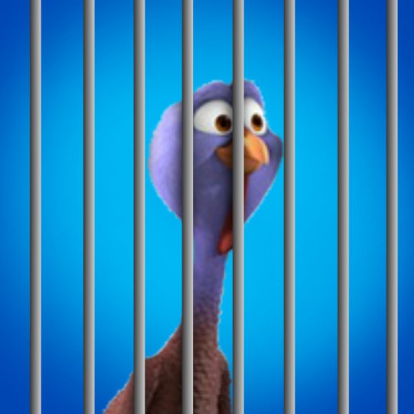 FreeBirdsJake's tweet photo. Hey Freebirds crew, I have sad news for everyone. My buddy Reggie's account got locked! Use #BringBackReggie to tell twitter we want him back! #Freebirds https://t.co/Hr7hWFXF4Q