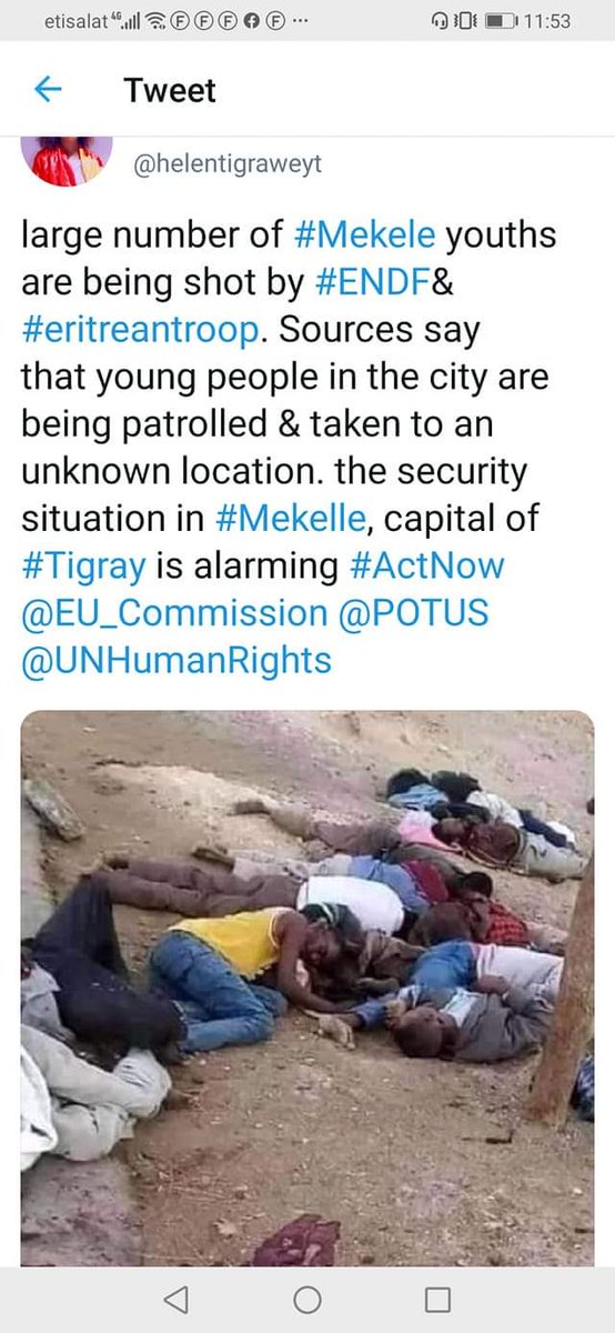 MMillisha's tweet photo. 👉 The on-going #TigrayGenocide by Roman Debotch is coming to Denver Sunday Nov 13! Watch with us as the film goal is to spread awareness onthecivil war&amp; humanitarian crisis.All funds will preceed! https://t.co/imvSWHf6ED #2YrsTigrayGenocide #EritreaOutOfTigray @UN @1 @UN_HRC https://t.co/yOsPZeguux