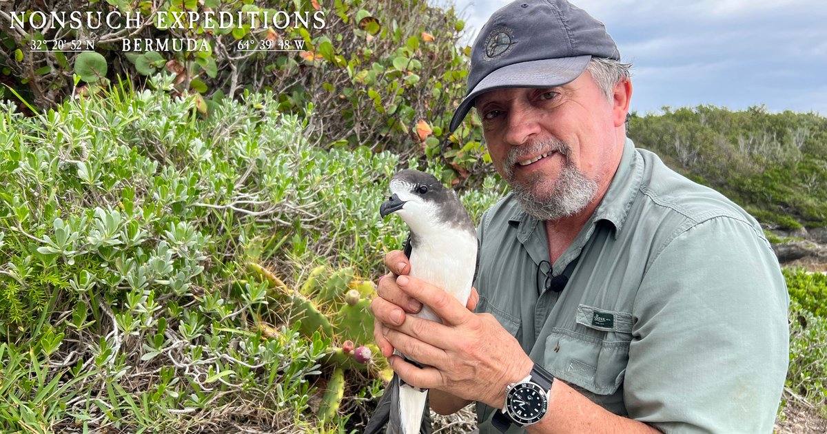Nonsuch Expeditions tweet media