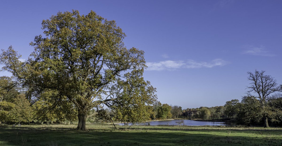 egroupuk's tweet photo. The same landscape shot taken on a full frame Panasonic Lumix S5 and the other on a Micro Four Thirds OM-D E-M1 Mark III - can you tell which is which?

OK - so which is which? https://t.co/KqhG3z1Raz 
#omsystem #landscapephotography #olympus #omds #mft #em1iii #whichisbest https://t.co/29UQWqvdqM
