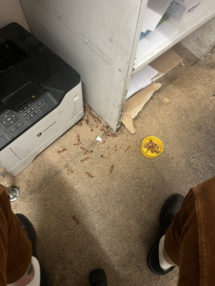 jeamface's tweet photo. jemma why are there twiglets in the printer??? https://t.co/LAUXIFJlye