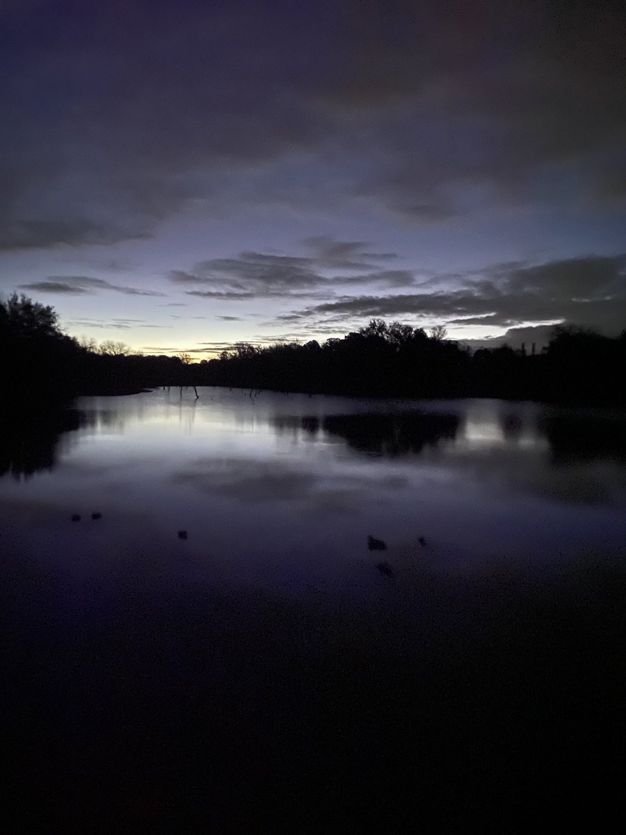 SuzieQuackers2's tweet photo. Not much better than you're Pups first go and drawing to 3 Pair! GWT, Cottontops and Ringers! #TugBoat got a long way to go, and a wonderful morning had by all! #HuntingIsConservation #OkieDuckDog #LabradorRetriever #RetrieversSaveGame https://t.co/CBOR4aIzjq
