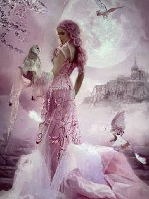 中田英寿のtwitterイラスト検索結果