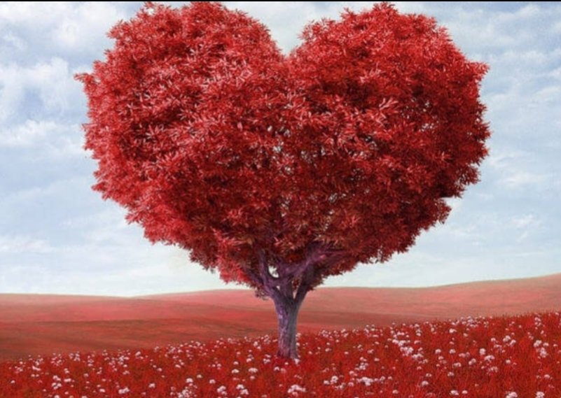 begocreaciones2's tweet photo. .

                         ˚₊· ͟͟͞͞➳❥

“Hay una vela en tu corazón,
 lista para encenderse. 

Hay un vacío en tu alma, listo para ser llenado. 

Lo sientes, ¿verdad?”

                           ﹌﹌﹌

. https://t.co/qkudSX7zZA